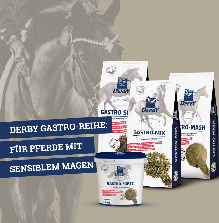 DERBY Gastro Reihe